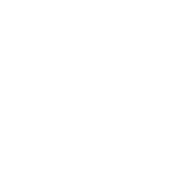 Native app development expertise