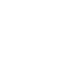 Content Management System (CMS)
